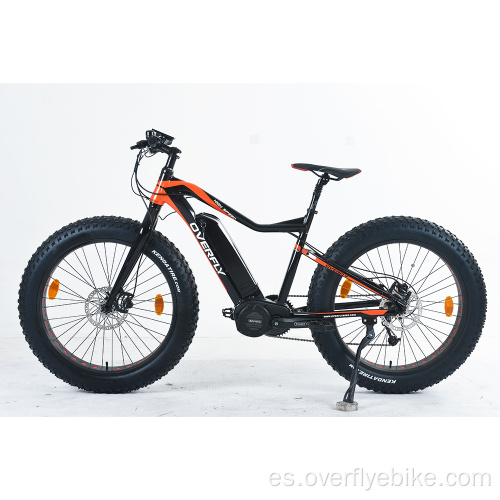 Bicicleta eléctrica de neumático grueso XY-WARRIOR-M 1000W